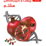 علوم هشتم بخش زیست و زمین شناسی علامه حلی